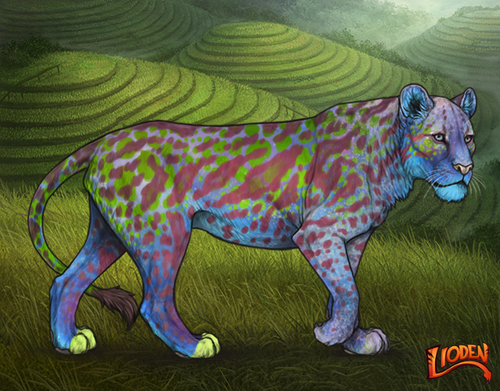 lioden wardrobe 2026 03 04T094350.580.png