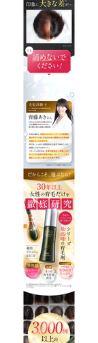 02 wellbest rereje s03.png