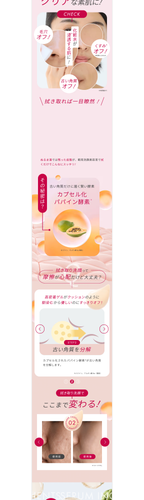 04 manara tpmg300 s06.png