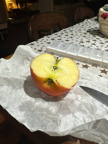 file 71 a076be88 15fe 403a acda 9eabc7fffc42.jpg