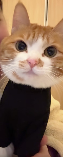 Screenshot 20260304 110726.jpg