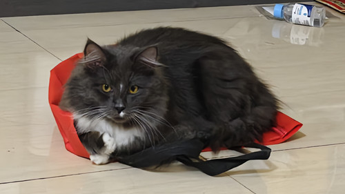 IMG 20260223 221541.jpg