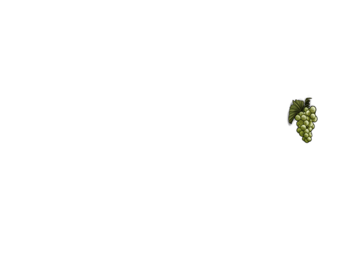mngwa experiments f.png