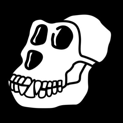 o7Sj4Iln 400x400.jpg