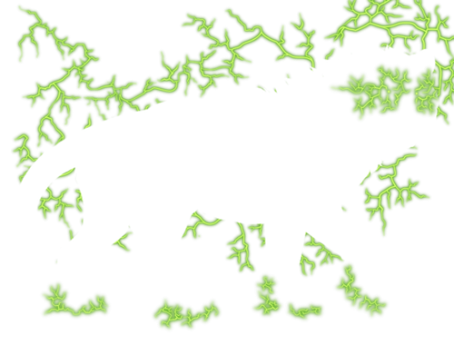 lightning green female.png