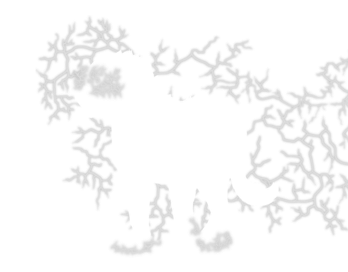 lightning white adol.png