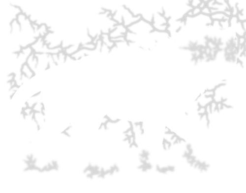 lightning white female.png