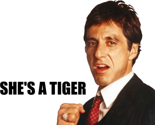 ezgif 1931fb236fb0aebb.webp