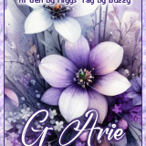 gginsBohemianSpringAGArieBuzzy vi