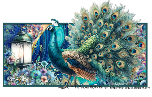 Peacock Mz TB1 MM26 GA.png