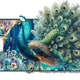 Peacock Mz TB1 MM26 GA