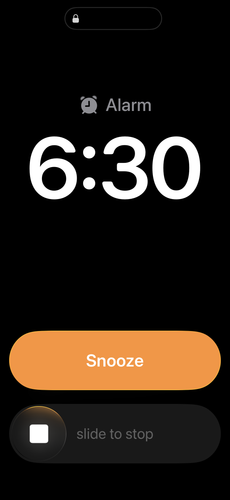 IMG 5578.png