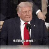 IMG 5032.gif