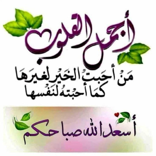 %D8%B3%D9%8A%D8%AF%20%D8%B6%D9%8A%D8%A7%D8%A1%20%D8%A7%D9%84%D9%85%D9%88%D8%A7%D9%84%D9%8A.jpg