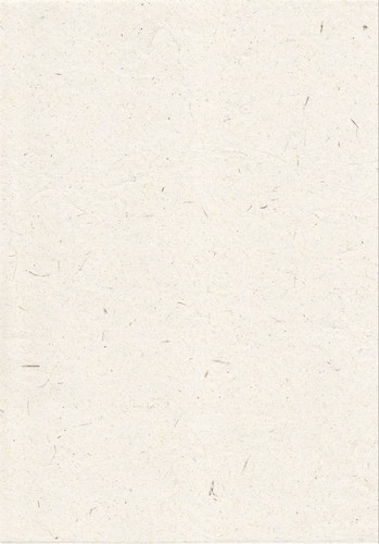 app bg 1.jpg
