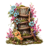 BC SpringFairy El (32)