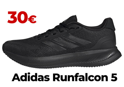 runfalcon.jpg