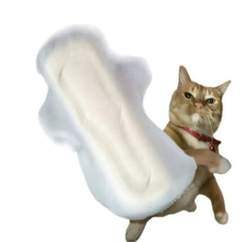 file.jpg