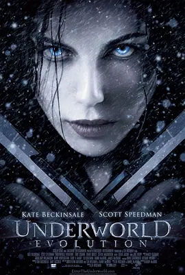 poster.webp
