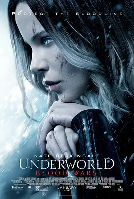 poster.webp