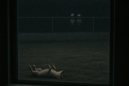 b4767220 10a4 4eea 8c62 1048b20bd797.png