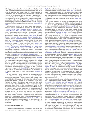 7e89dcc22920.png