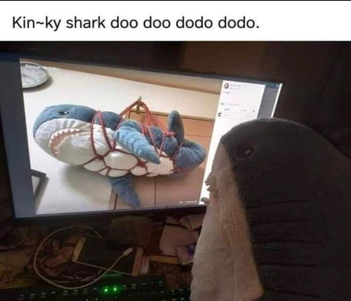 1000042383.jpg