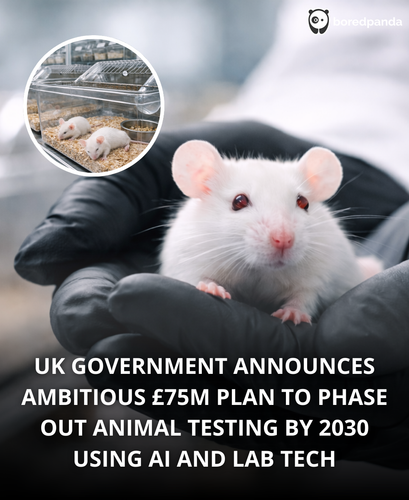 147. UK to phase out animal testing.png