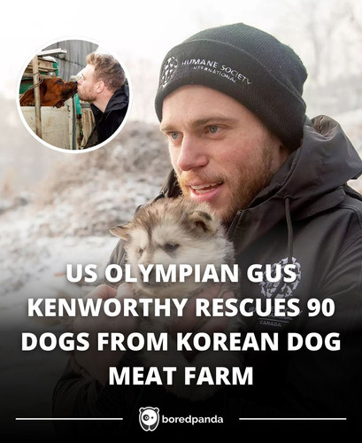 US OLYMPIAN GUS KENWORTHY RESCUES 90 DOGS FROM KOREAN DOG MEAT FARM.jpg