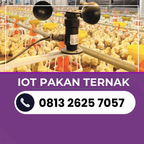 IoT (8).jpg