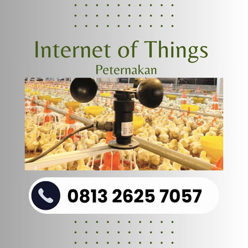 IoT (1).jpg