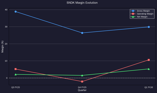 sndk margins.png