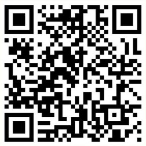 645488687 1733445657628369 7593888256326295143 n.jpg