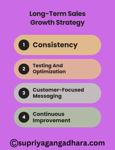 Long Term Sales Growth Strategy.png