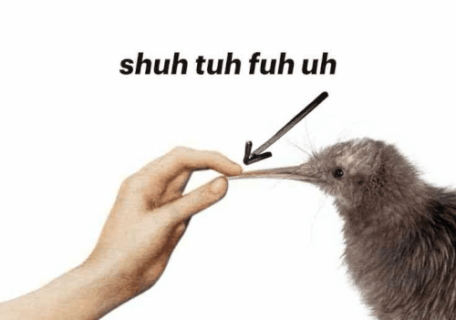 663dcbc7c3fa.gif