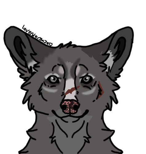 Untitled105.png