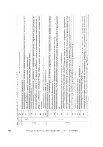 efb703506d5f.png