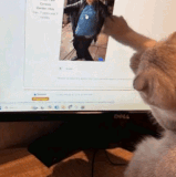 WhatsAppVideo2026 03 04at22.59.38 ezgif.com video to gif converter.gif