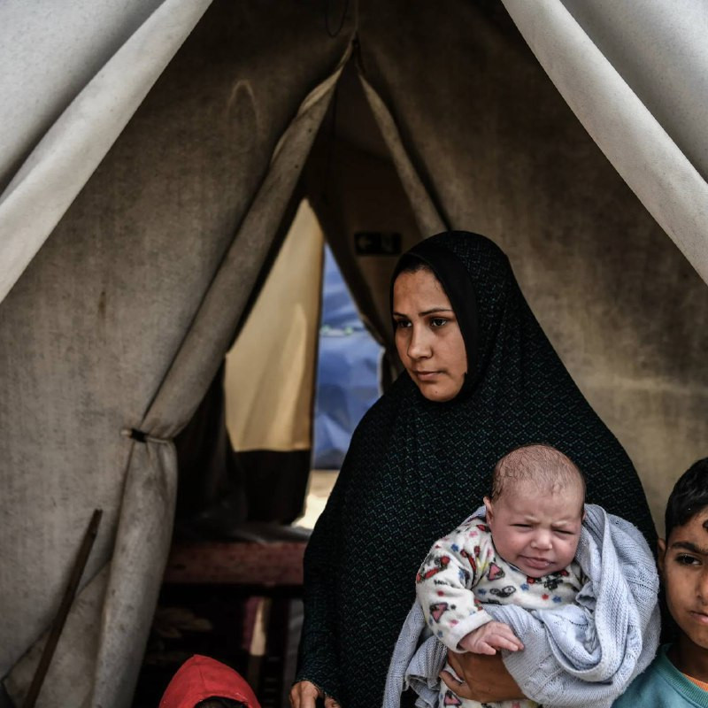 3 آلاف مولودٍ جديدٍ في غزة خلال فبراير المنصرم
▫أظهرت إحصائية صادرة عن الإدارة العامة للأحوال المدنية بوزارة الداخلية أن قطاع غزة سجَّل خلال شهر فبراي...