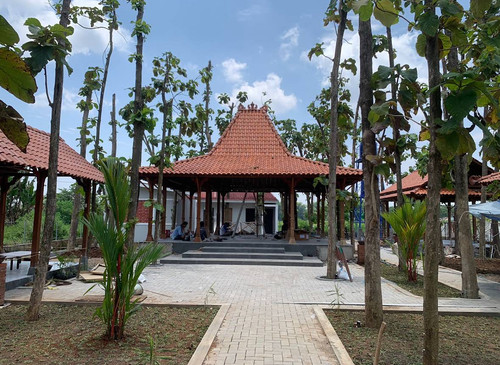 IMG 8DCCF189F7AE 1.jpg