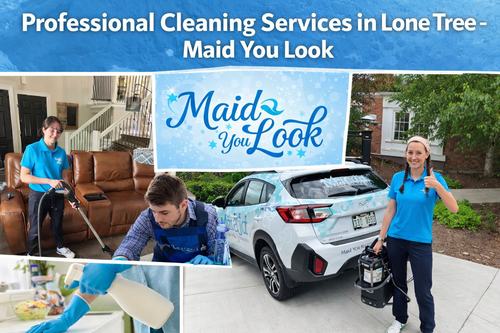 Professional Cleaning Services in Lone Tree - Maid You Look.png
