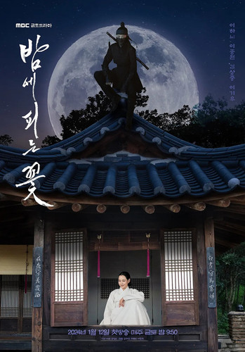242 01 夜晚开的花.1