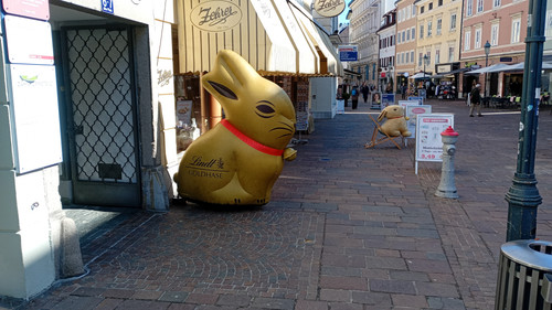 IMG 20260304 114908288 MFNR.1