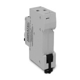 FUNDO BRANCO PRODUTOS 2026 03 27T171123.506