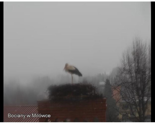 MWSnap901.jpg