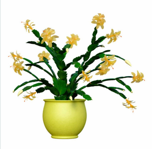 il fullxfull.5254800128 pa62.jpg