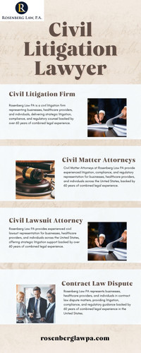 Civil Litigation Lawyer | Rosenberg Law PA.jpg