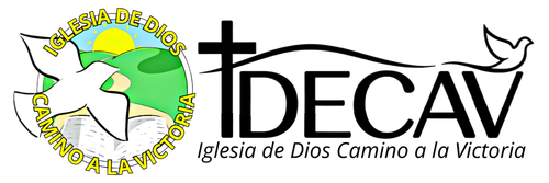 Logo IDECAV Negro.png