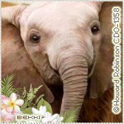 Lin Robinson Jungleav Bekki.png