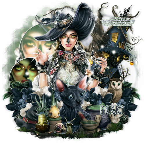 Lin Misticheskaya Haunted Forest Bekki.png